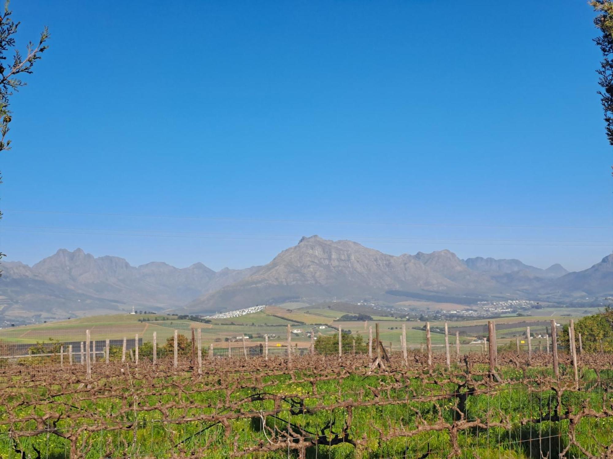 Domaine Coutelier Lejlighed Stellenbosch Værelse billede