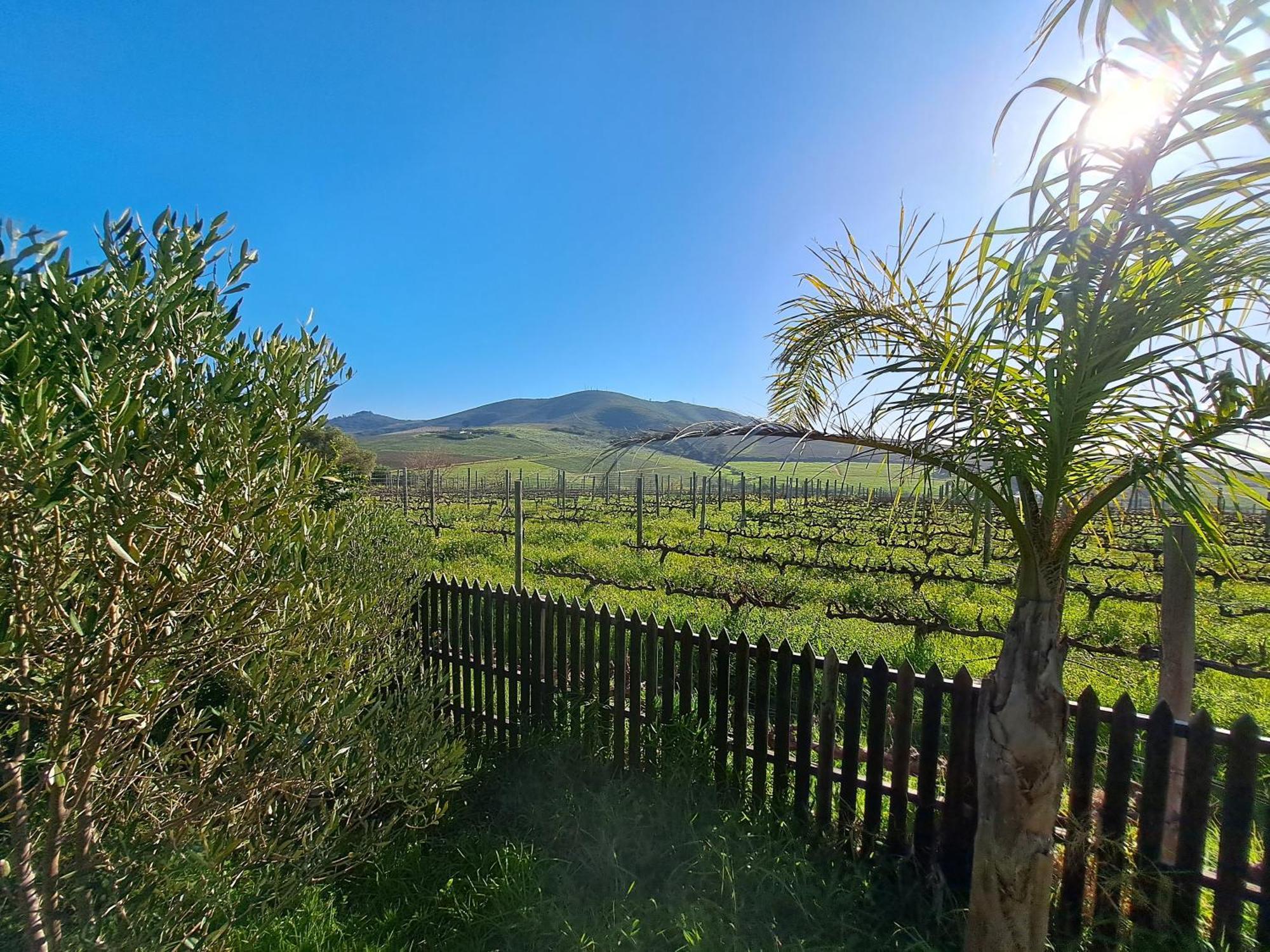 Domaine Coutelier Lejlighed Stellenbosch Værelse billede