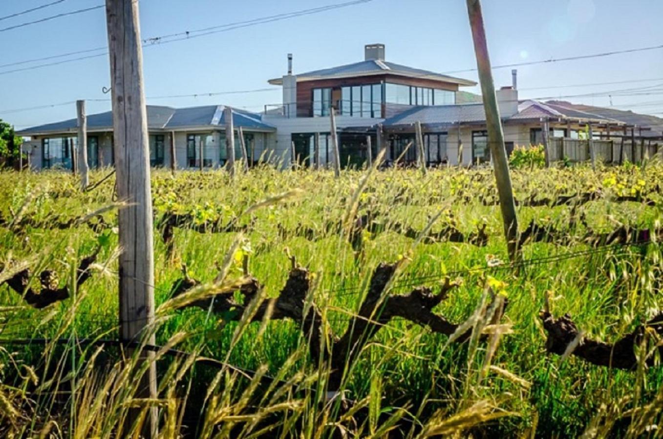 Domaine Coutelier Lejlighed Stellenbosch Eksteriør billede