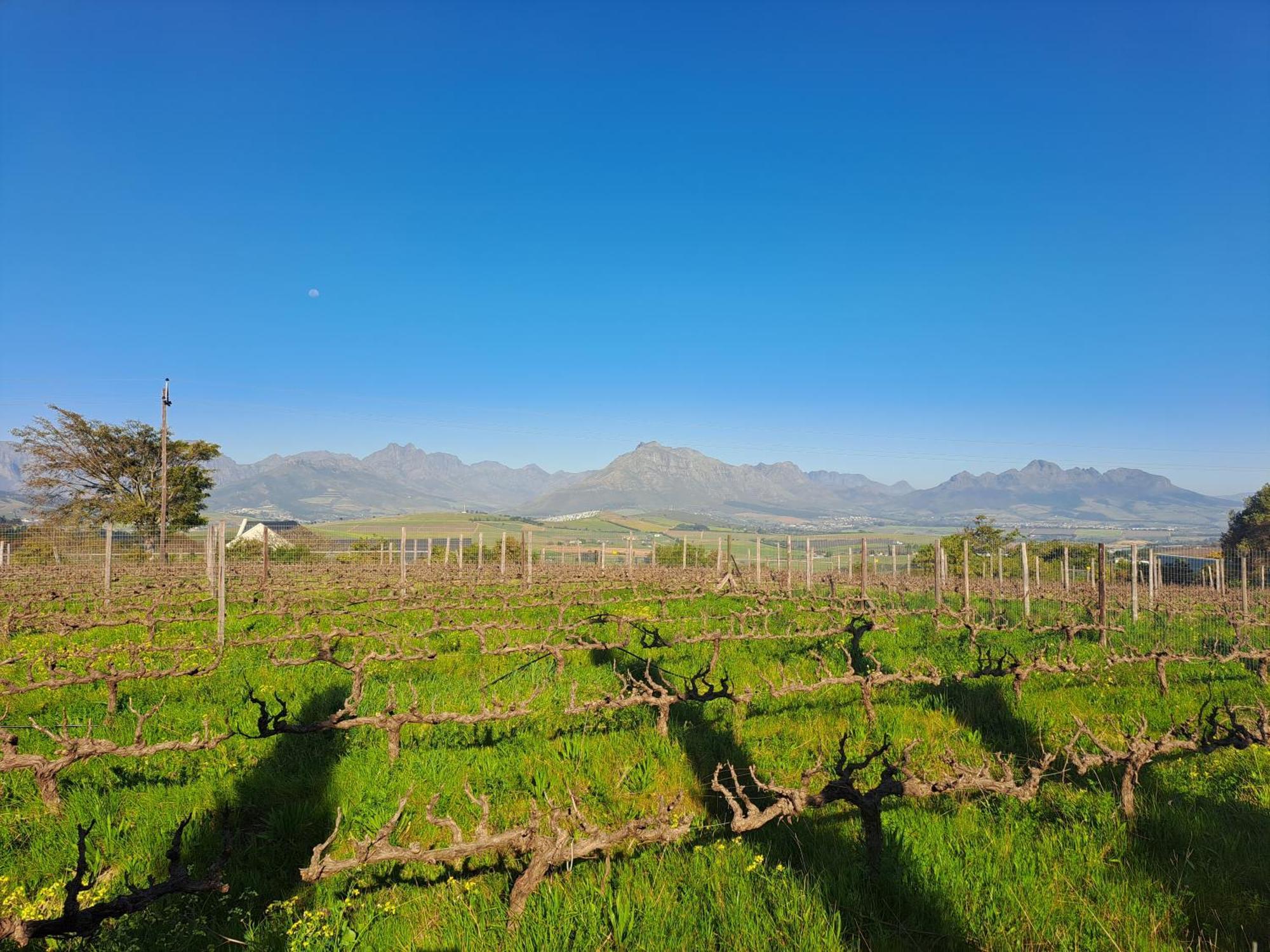 Domaine Coutelier Lejlighed Stellenbosch Værelse billede
